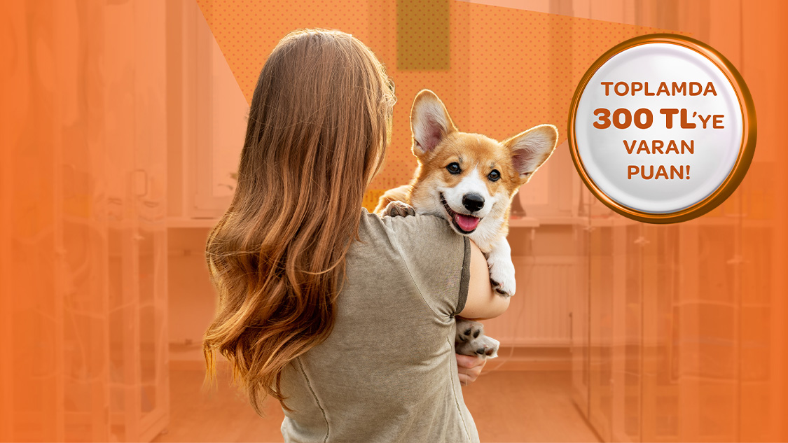 1.500 TL ve üzeri petshop ve veteriner harcamalarınıza 100 TL, toplamda 300 TL puan!